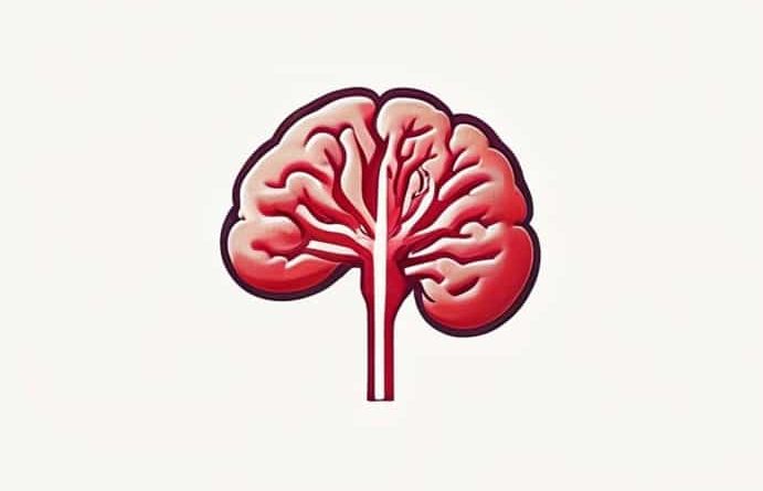Right Superior Cerebellar Peduncle