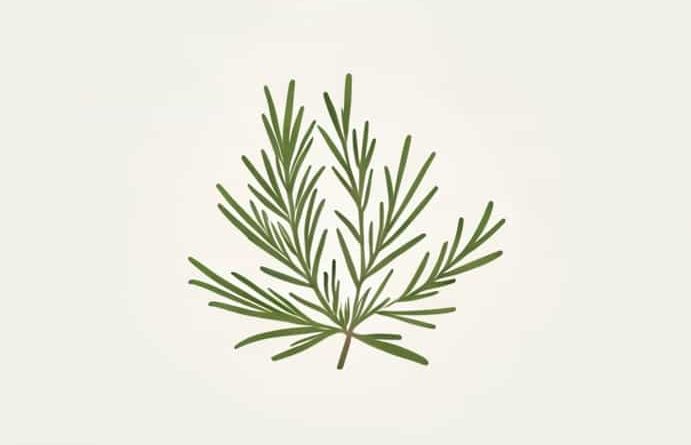 Rosemary And Thyme Sarasota