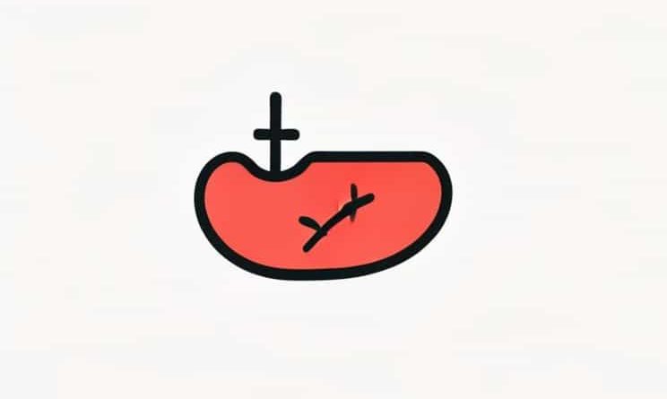 Tube In Stomach For Feeding