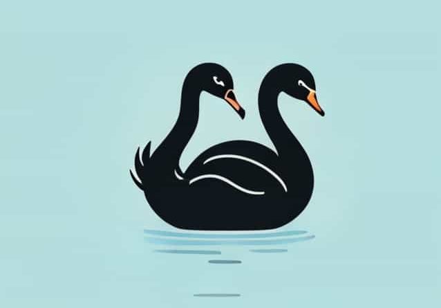 Used Cygnet 20 For Sale