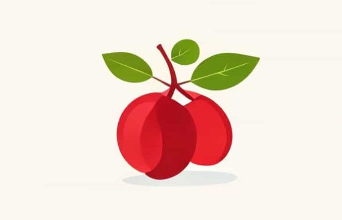 Uses Of Indian Jujube