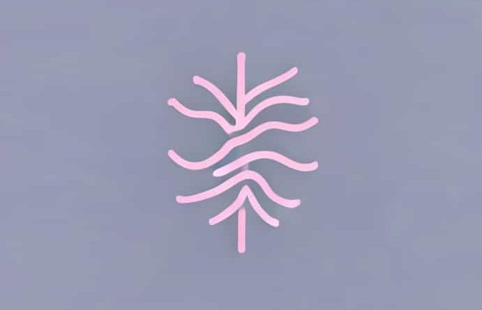 Vagus Nerve Excessive Salivation