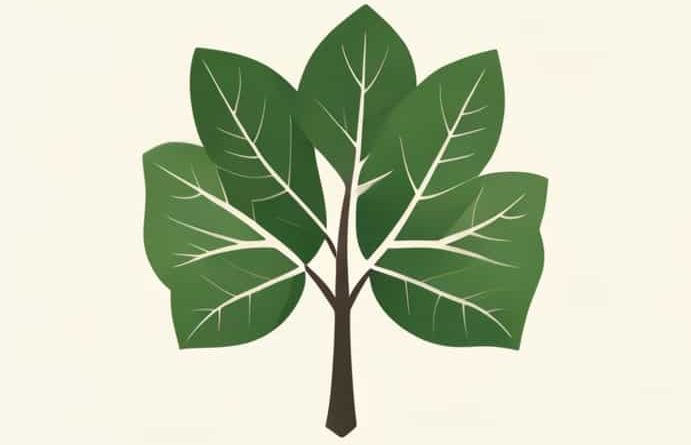 Variegated Fiddle Leaf Fig