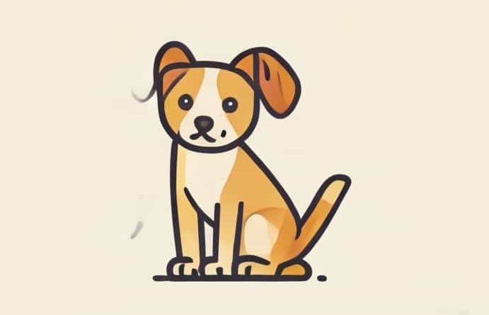 Vets For Pets Canterbury