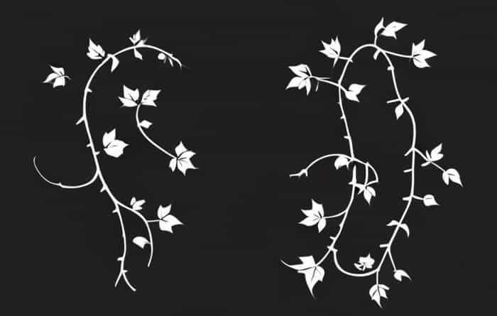 Vinesh Phogat Harish Salve