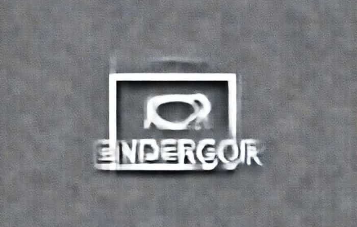 What Does Endeavor Mean