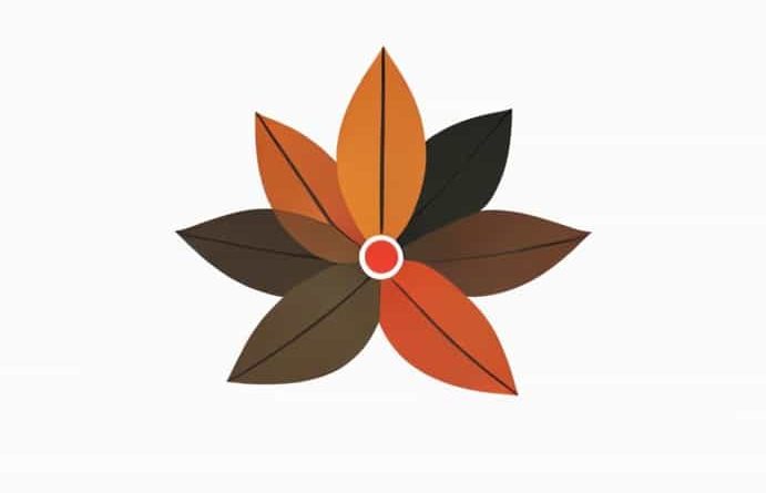 What Does Sepal Mean