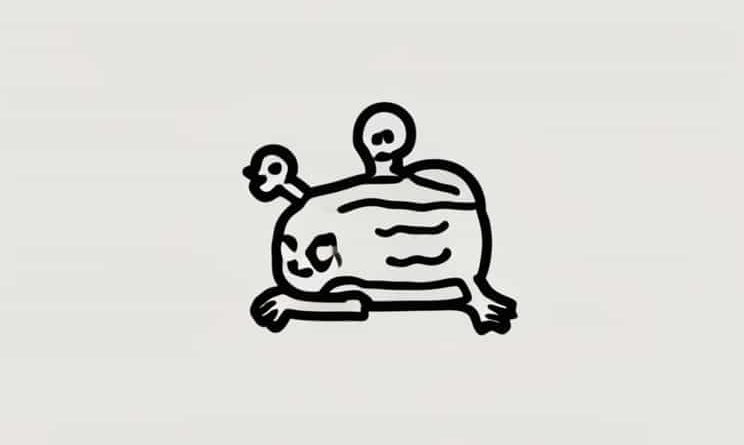 What Is A Cadaver Donor