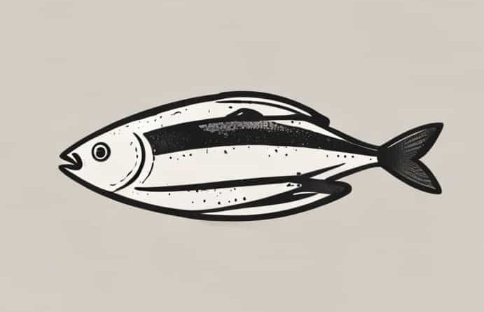 What Is Anchovy Fillets