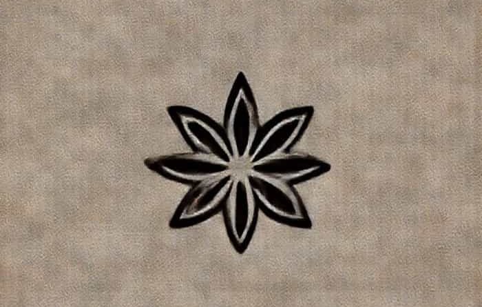 What Is Aniseed Flavour