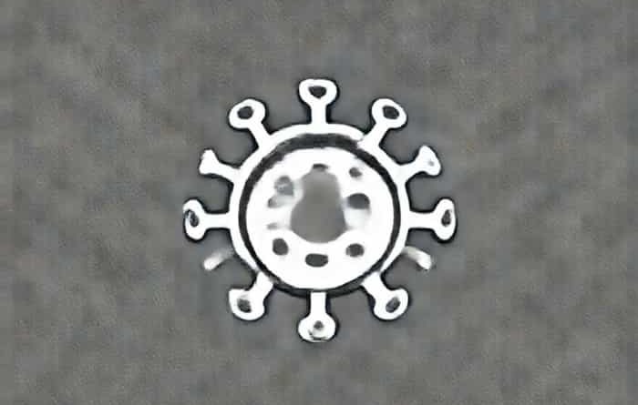 What Is Diphtheria Toxin