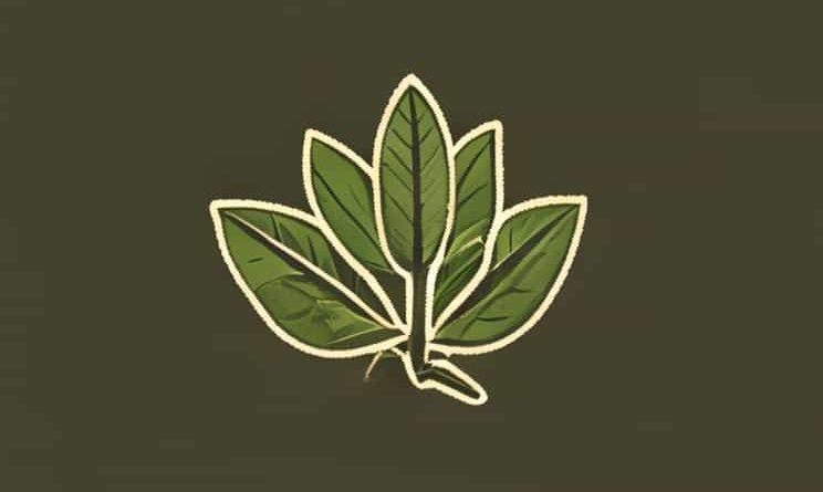 What Is Patchouli In Hindi