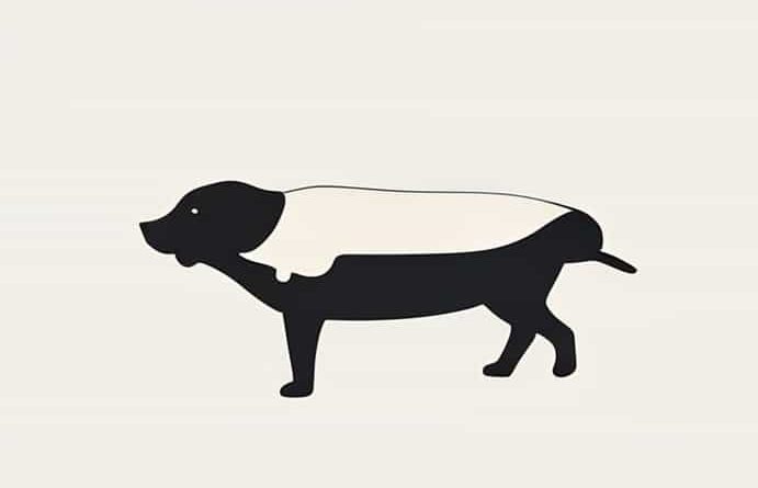 Zwitserse Witte Herder Fokker