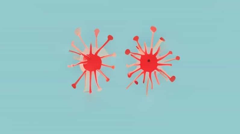 Are Bacteremia And Septicemia The Same