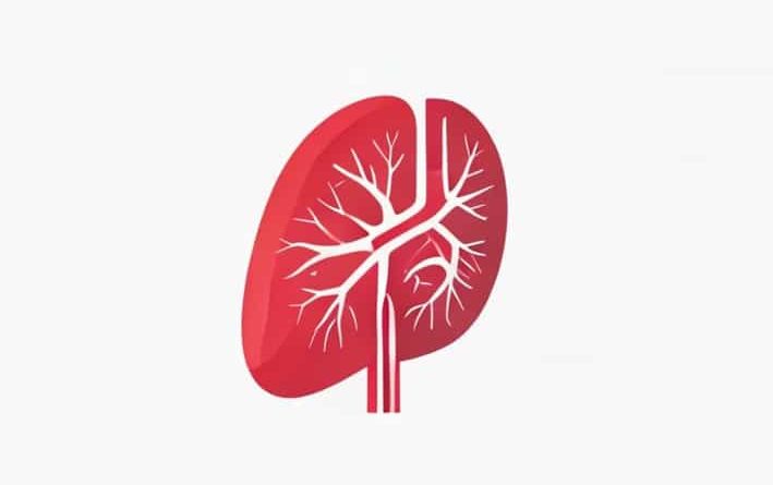 At What Meld Score For Liver Transplant