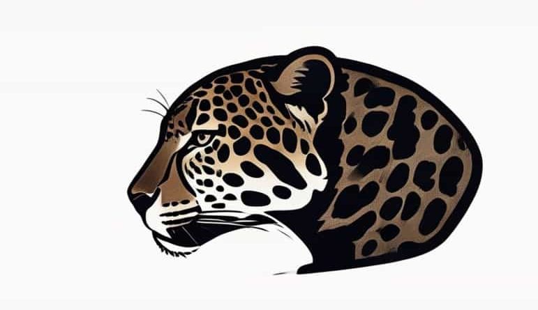 Becoming A Supple Leopard 2nd Edition