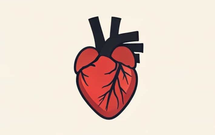 Beginning Of Systole In A Healthy Heart