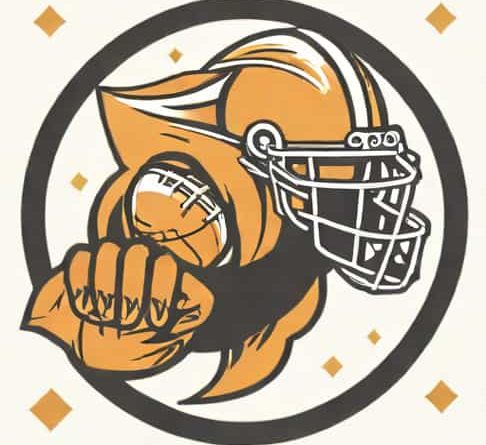 Best Defense For Fantasy Football 2024