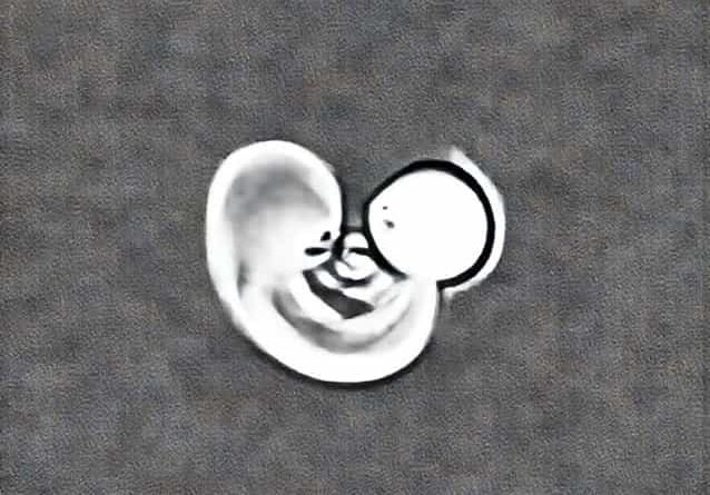 Breastfed Baby When To Introduce Bottle