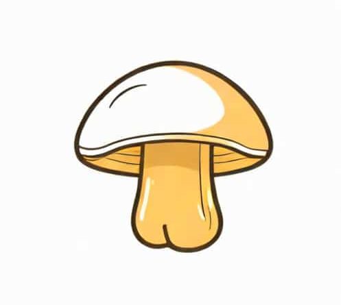 Fungoid Krem Vajinada Nasil Kullanilir