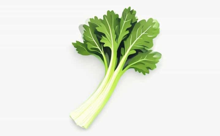 How Many Calories In A Stalk Of Celery