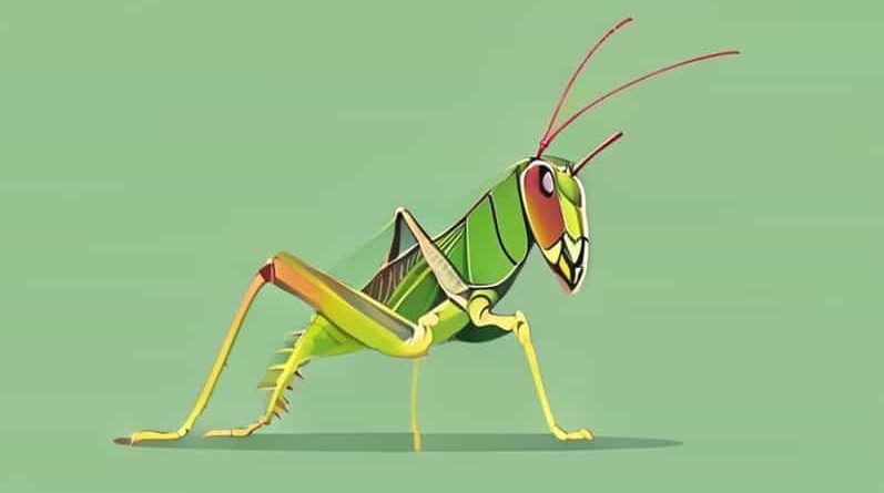 How Many Legs Does A Grasshopper Have