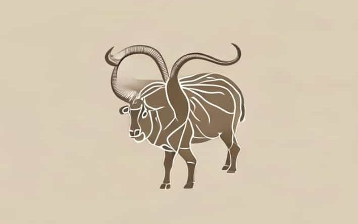 How Many Stomachs Does A Ruminant Have