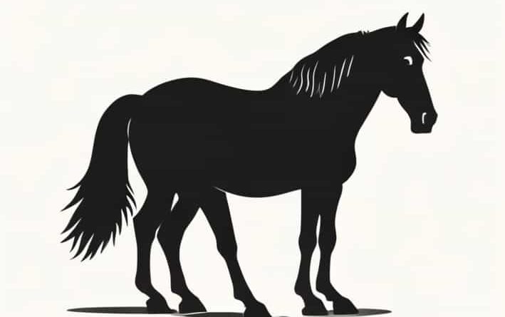 How Much Does A Clydesdale Horse Weigh