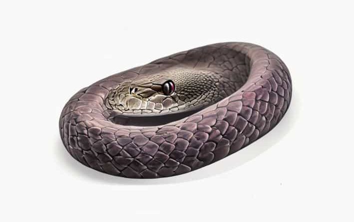 How To Get Rid Of Cottonmouth Quickly