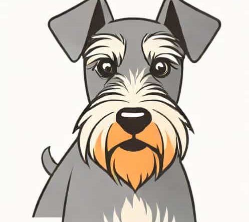 Is A Miniature Schnauzer Hypoallergenic