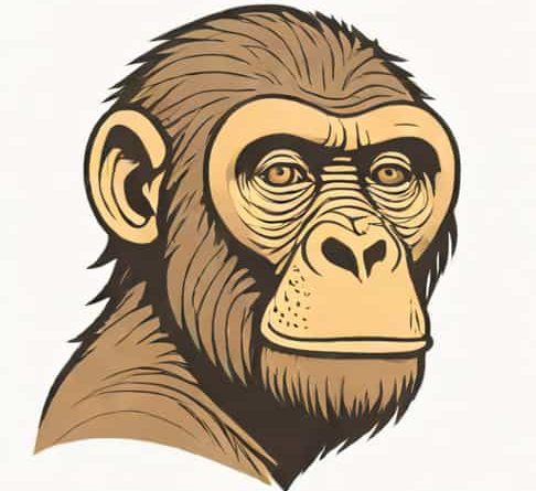 Is Australopithecus A Genus Or Species