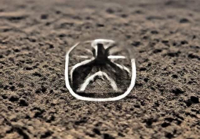 Is Fuerteventura In The Canary Islands