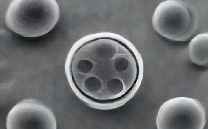 Klebsiella Aerogenes Biochemical Tests