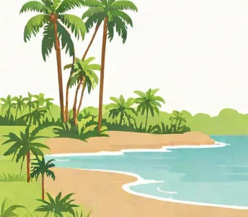 Land For Sale In Essequibo Coast Guyana