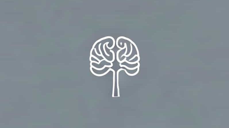 Long Term Memory Explicit And Implicit