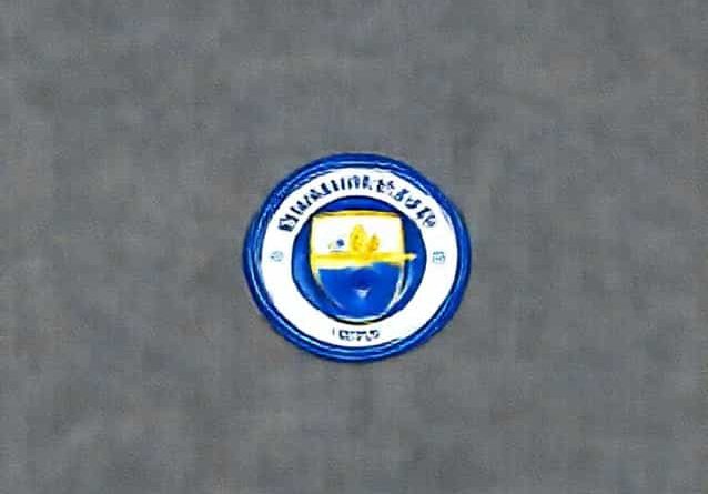 Manchester City Brighton & Hove Albion