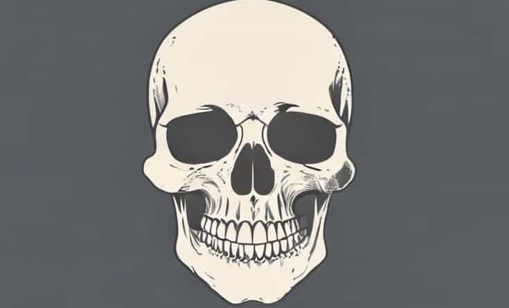 Name Of The Rearmost Part Of The Skull