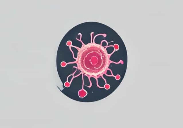 Nuclear Membrane And Nucleoli Reappear