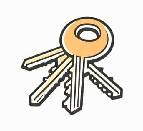 Replacement Key For Sports Afield Safe