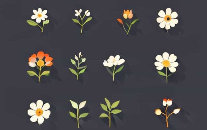 Setting Of Perks Of Being A Wallflower