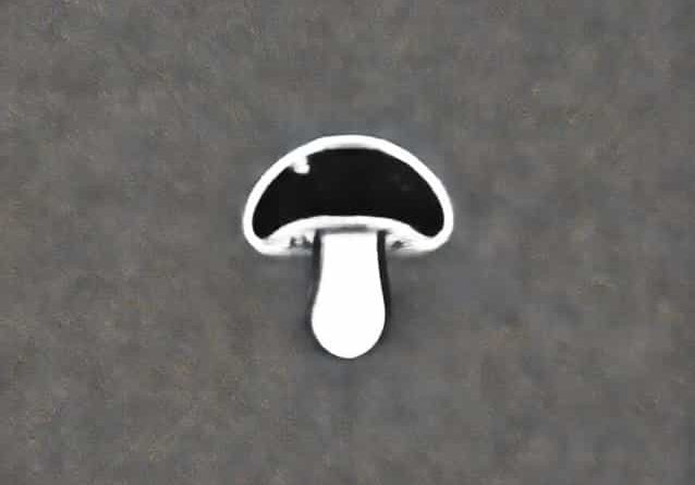 Shiitake Mushroom Flagellate Dermatitis