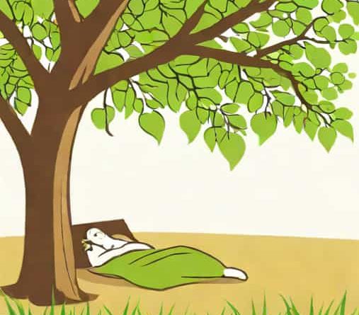 Sleeping Under A Tree Is Not Advisable
