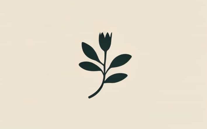 The Perks Of Being A Wallflower Quotes