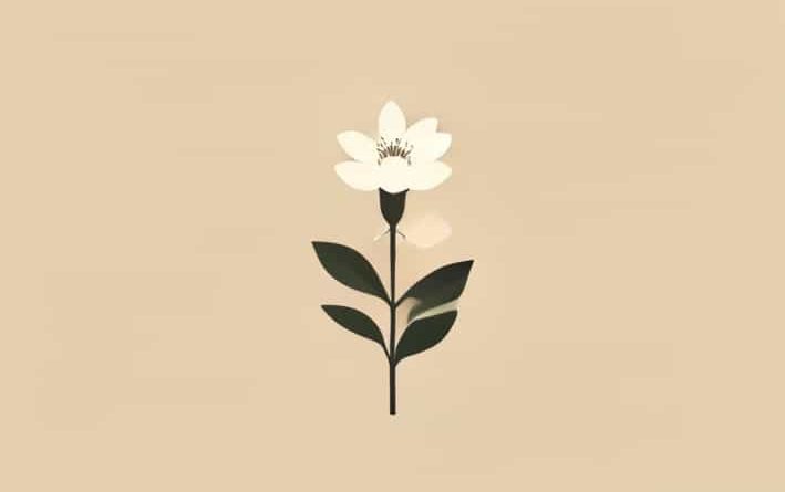 The Perks Of Being A Wallflower Trailer