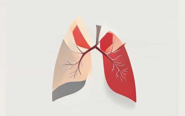 The Pleurae Are Which Type Of Membrane
