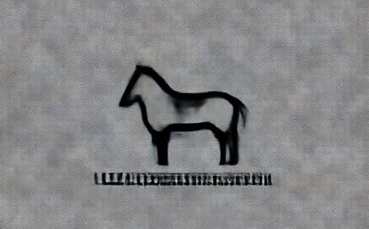 Usa Clydesdale Preservation Foundation