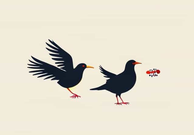 Vitamin String Quartet Flightless Bird