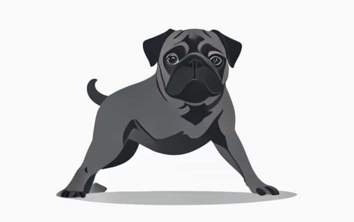 What Does A Pugilistic Stance Look Like