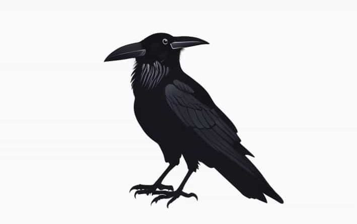 What Does Nevermore Mean In The Raven