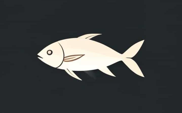 What Is Fishtail By Lana Del Rey About